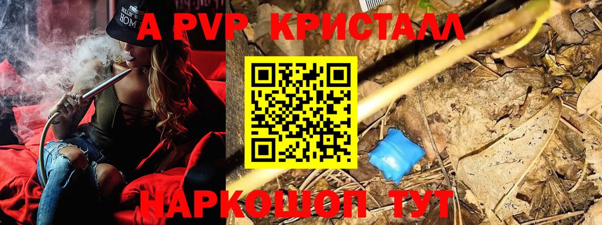 APVP СК Канск