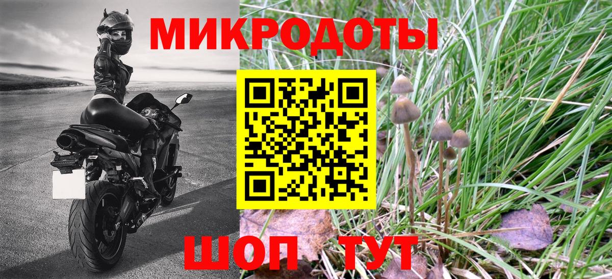 Канск  Галлюциногенные грибы Psilocybe  Галлюциногенные грибы ЛСД  Вход с VPN 