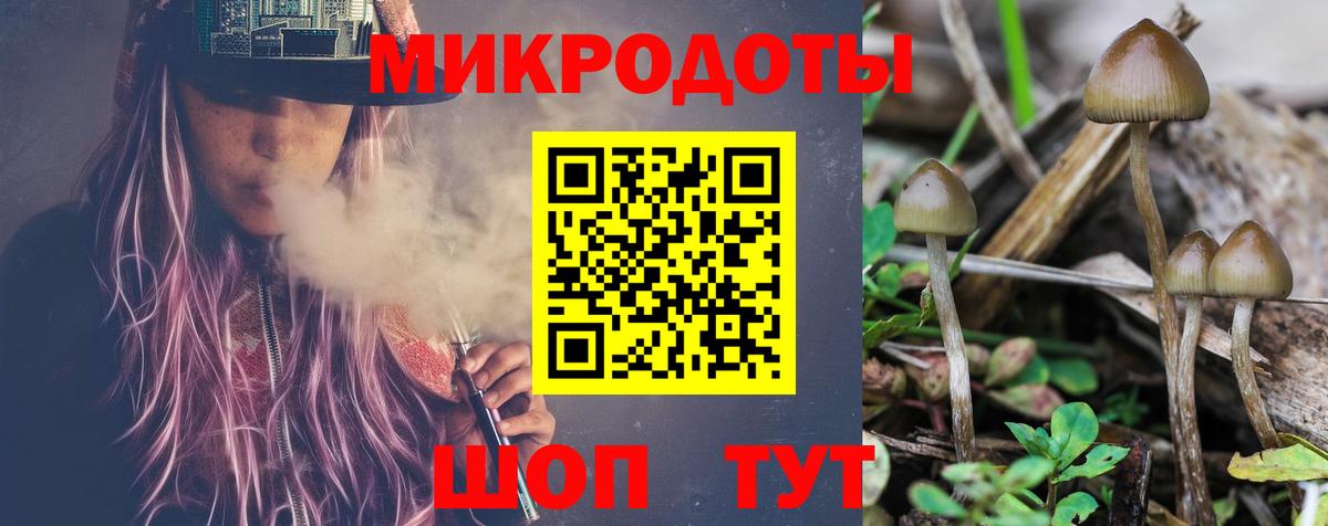 Псилоцибиновые грибы ЛСД Канск